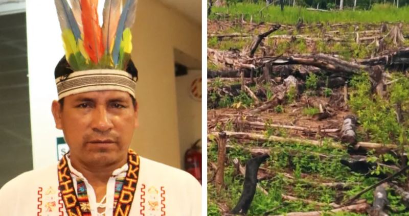 Deforestation: Environmentalist shot dead in Peru for protecting Amazon